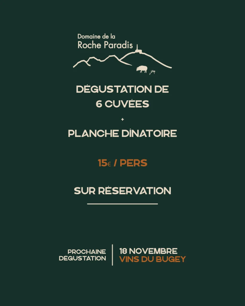 Dégustation de vins